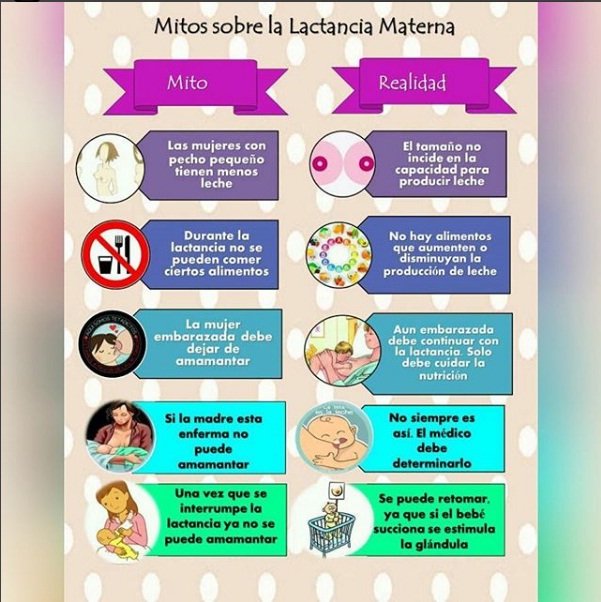 comidas para producir leche materna comidas para producir leche materna